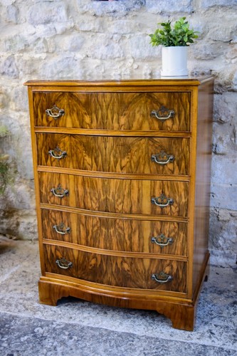 Regency style walnut chest - regency,