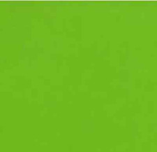 100 LIME GREEN COLOUR 80gsm A4