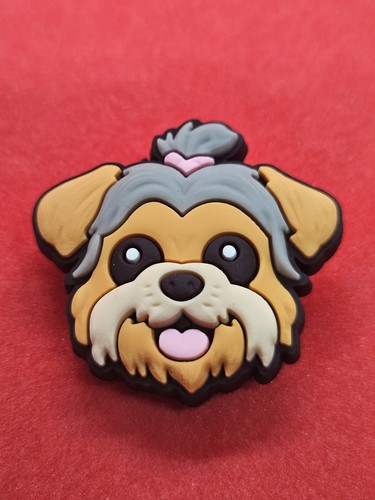 Cute yorkie yorkshire terrier