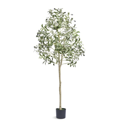 Uimoso artificial olive - uimoso,
