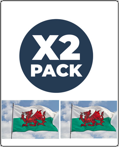 Giant wales rugby 6 - 2,