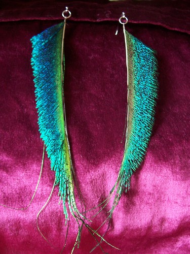 Beautiful unusual peacock - unusual,