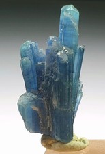 Top Quailty Bunch of