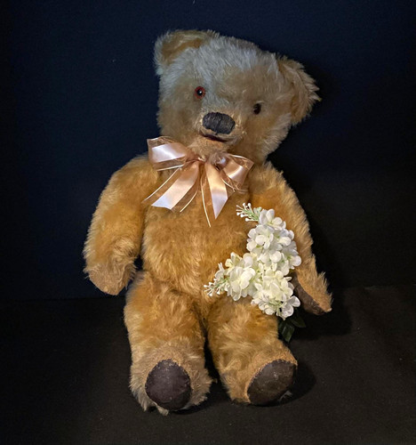 Very old tara - very, teddy