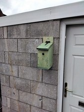 Blue Tit Nesting Box Garden