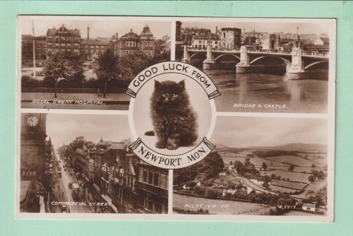 Wales postcard good luck - -,
