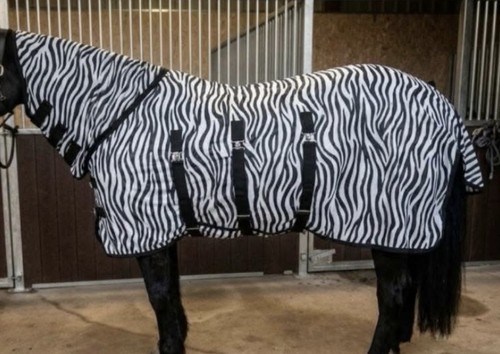 Zebra print fly rug - zebra,