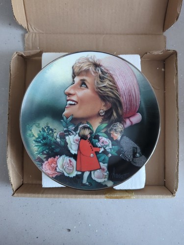 England rose diana - england's,