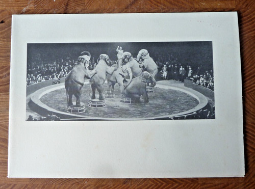 Bertram mills circus 1959 tour - mills,