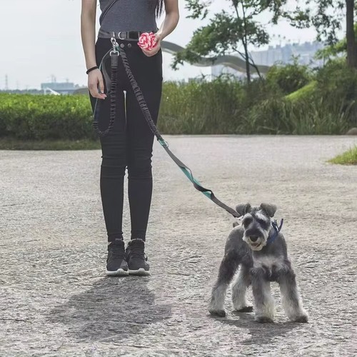 Running belt lead - &, hands
