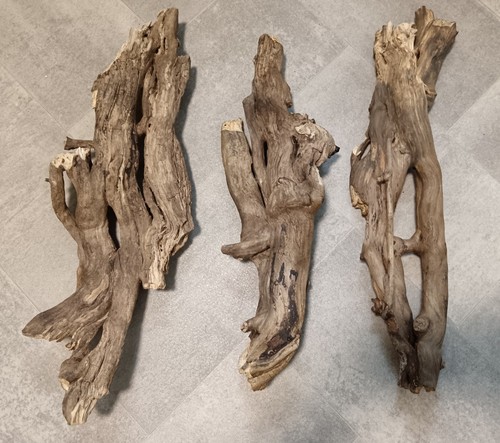 Pieces natural twisty - of,