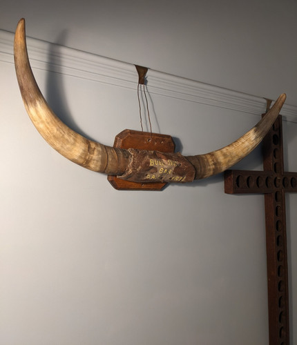 Vintage unusual cow horn - vintage,