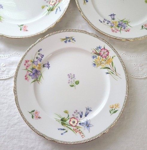 Shelley wild flower plate - shelley,
