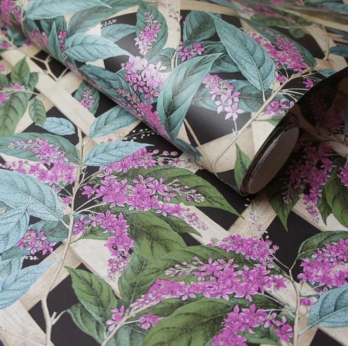 Holden decor brassica - holden,