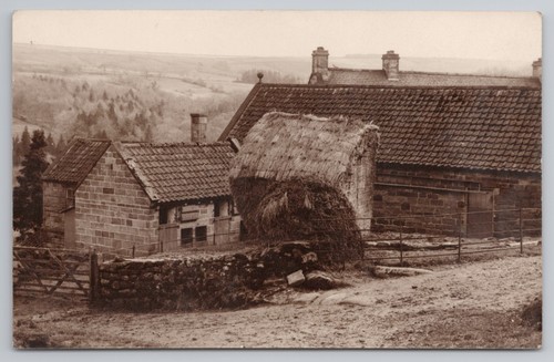 Rppc unidentified rural - rppc, farm
