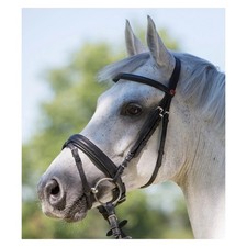 Kieffer Arezzo Snaffle