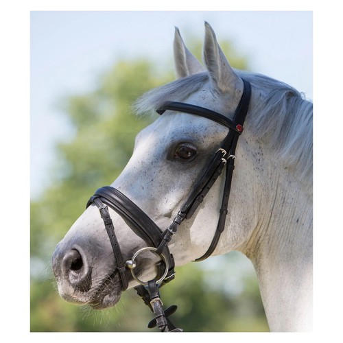 Kieffer arezzo snaffle - kieffer,
