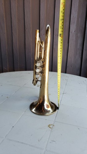 Blessing cornet s a - blessing, xl