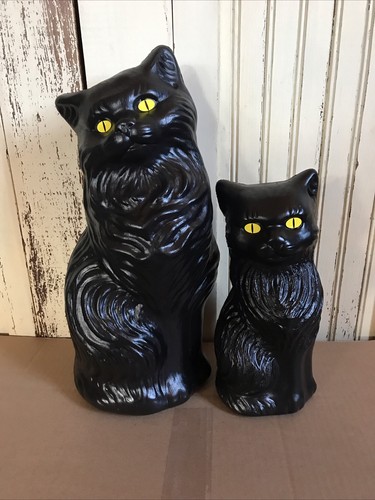 Halloween black cats - halloween,