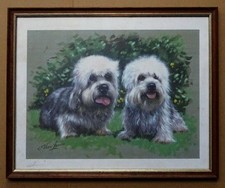 DANDIE DINMONT TERRIER Signed Dog Print With Frame by Dutch Artist Marc Lamers