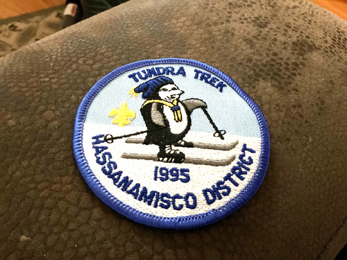 Boy scout patch 1995 - scout,
