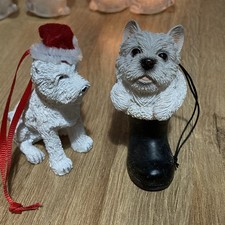 West Highland White Terrier