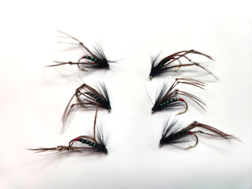 Black hopper fly - x,