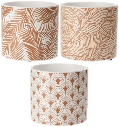 Small ceramic plant - plant, pot