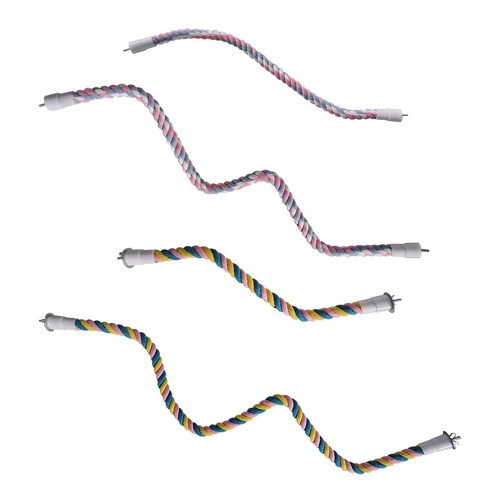 Premium bird climbing - premium,