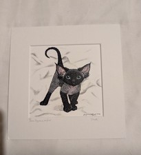 Limited Edition Mounted Print