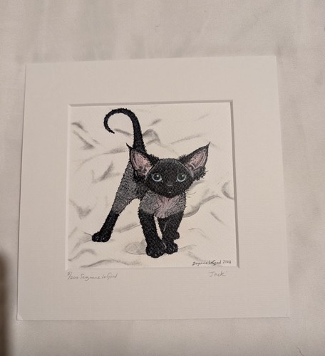 Limited edition mounted - limited,