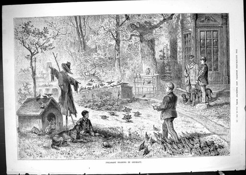Old antique print 1881 - old,