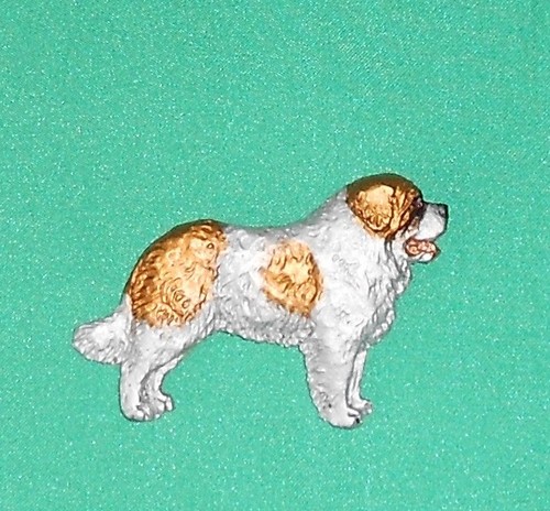 Bernard show dog breed - dog,