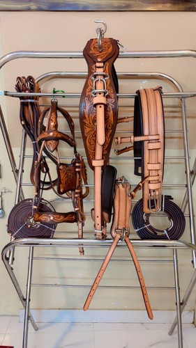 Driving harness single horse - driving,