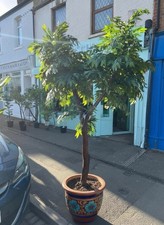 GreenBrokers Artificial Tropical Monstera Tree Indoor Outdoor Plant 150cm