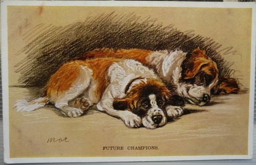 Pu01 0022 postcard - pu01,