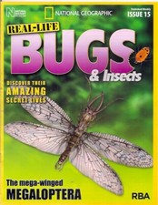 real-life bugs &