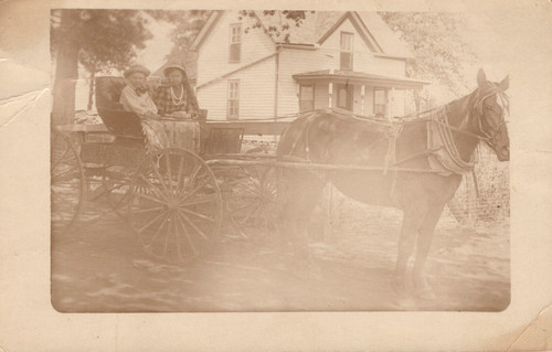 Horse drawn carriage man - carriage, w/man