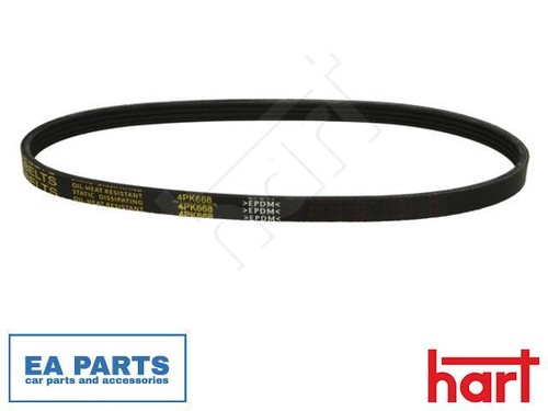 Ribbed belt for - v-ribbed, 500