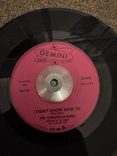 The Constellations - I didn't know how to - Gemini