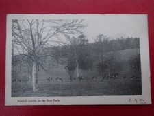 Brodick Castle, in the Deer