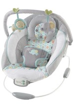 Ingenuity Morrison Soothing Baby Bouncer