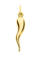 9CT HALLMARKED YELLOW GOLD 35.2MM X 6.5MM HORN OF LIFE PENDANT (AND CHAIN)