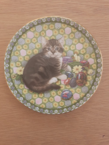 Meet kittens bone - kittens", china