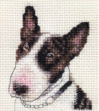 BULL TERRIER dog puppy  Full