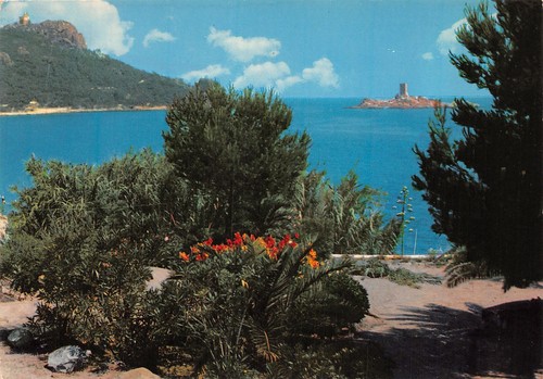 83-ESTEREL-N�4144-D/0203