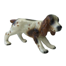 Springer  / Cocker  Young