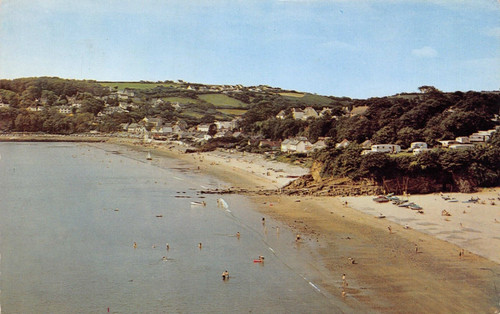 Family history genealogy - history,