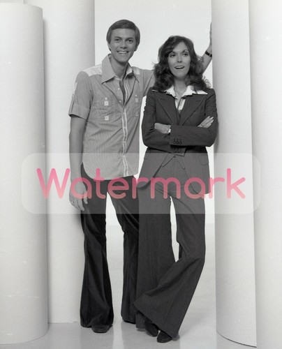 The carpenters karen portrait - the,