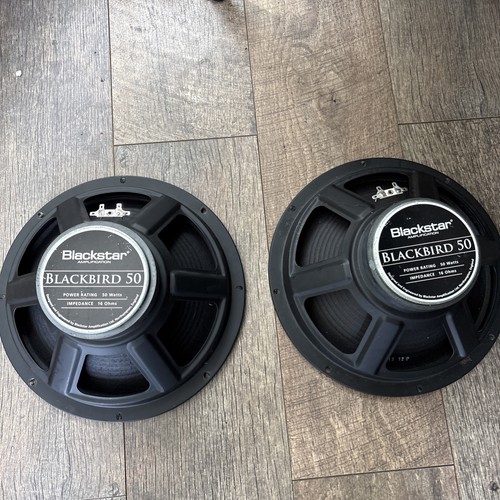 Guitar speakers 50 - 2,